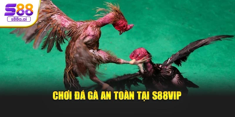 Chơi đá gà an toàn tại S88vip
