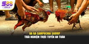 Đá Gà Campuchia S88vip – Trải Nghiệm Trực Tuyến An Toàn