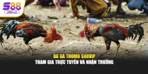 Đá Gà Thomo S88vip – Tham Gia Trực Tuyến Và Nhận Thưởng