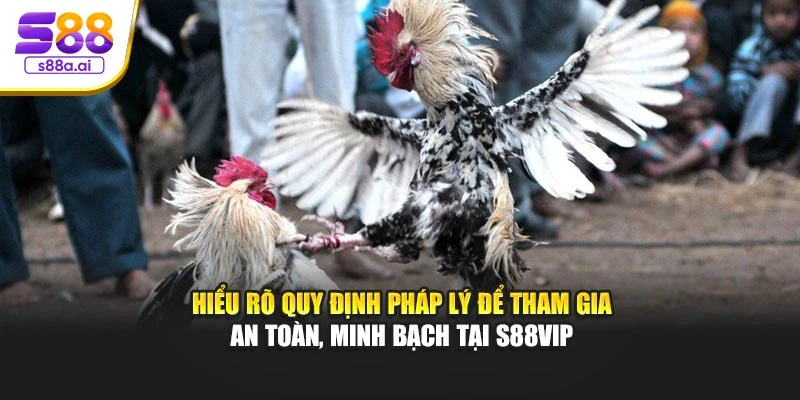 Hiểu rõ quy định pháp lý để tham gia an toàn, minh bạch tại S88vip