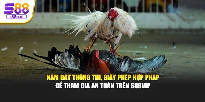 Nắm bắt thông tin, giấy phép hợp pháp để tham gia an toàn trên S88vip