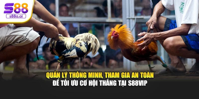Quản lý thông minh, tham gia an toàn để tối ưu cơ hội thắng tại S88vip