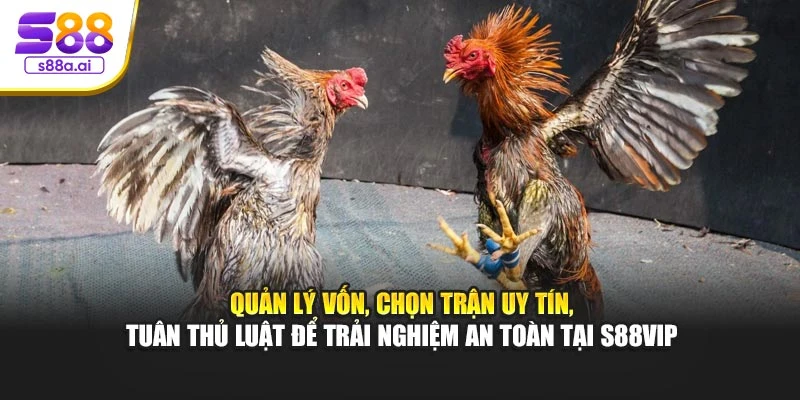 Quản lý vốn, chọn trận uy tín, tuân thủ luật để trải nghiệm an toàn tại S88vip