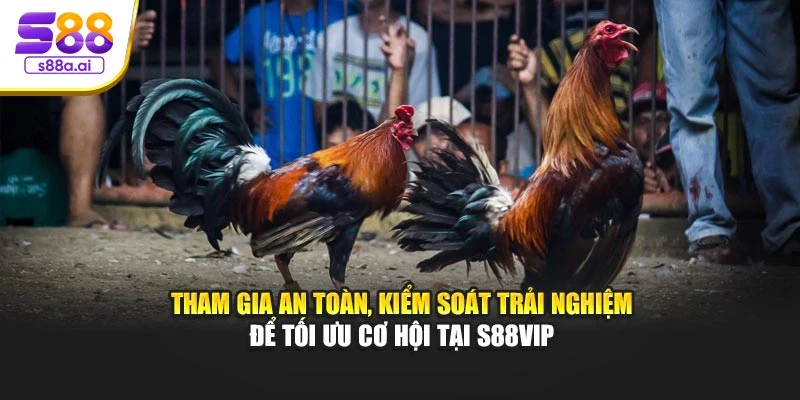 Tham gia an toàn, kiểm soát trải nghiệm để tối ưu cơ hội tại S88vip