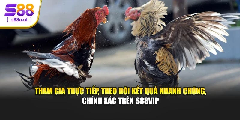 Tham gia trực tiếp, theo dõi kết quả nhanh chóng, chính xác trên S88vip