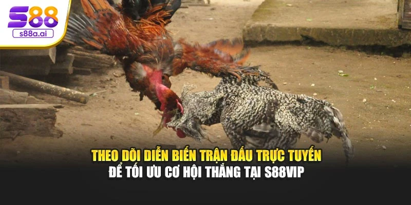 Theo dõi diễn biến trận đấu trực tuyến để tối ưu cơ hội thắng tại S88vip