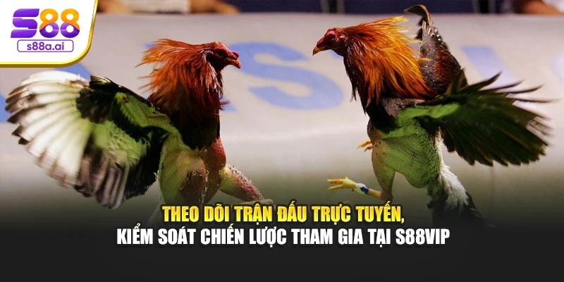Theo dõi trận đấu trực tuyến, kiểm soát chiến lược tham gia tại S88vip