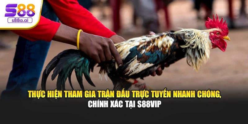 Thực hiện tham gia trận đấu trực tuyến nhanh chóng, chính xác tại S88vip