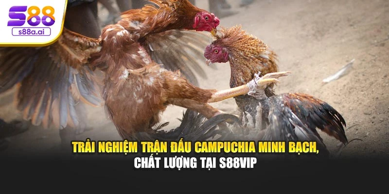 Trải nghiệm trận đấu Campuchia minh bạch, chất lượng tại S88vip