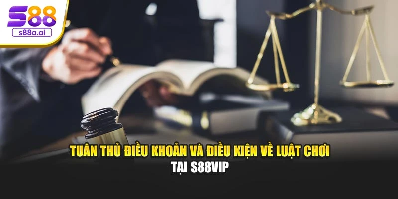 Tuân thủ điều khoản và điều kiện về luật chơi tại S88vip